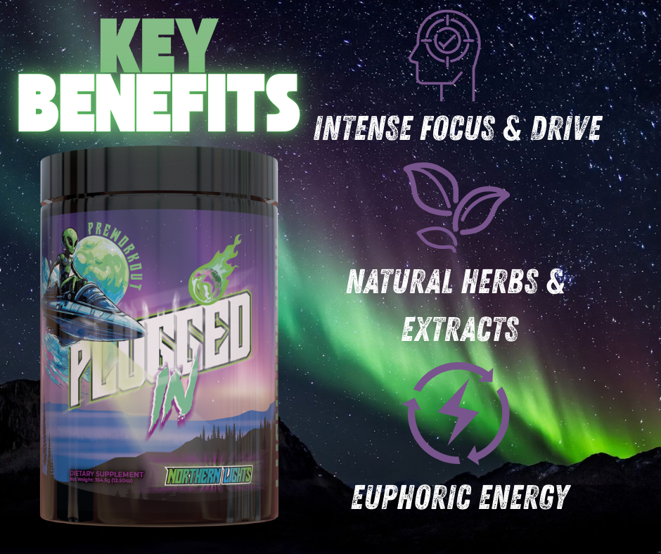 PLUGGED IN "Northern Lights"
