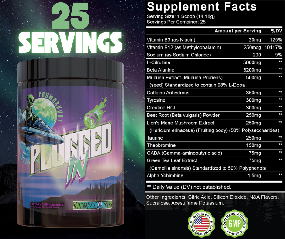 PLUGGED IN "Northern Lights"