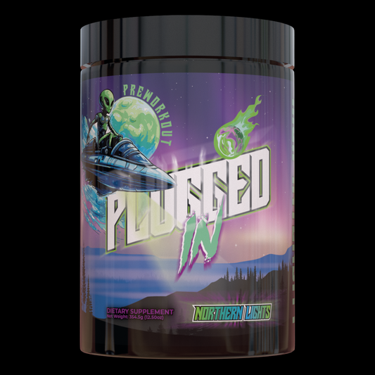 PLUGGED IN "Northern Lights"