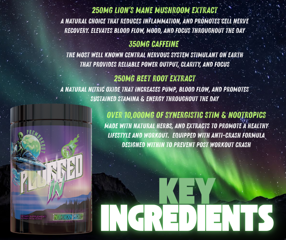 PLUGGED IN "Northern Lights"
